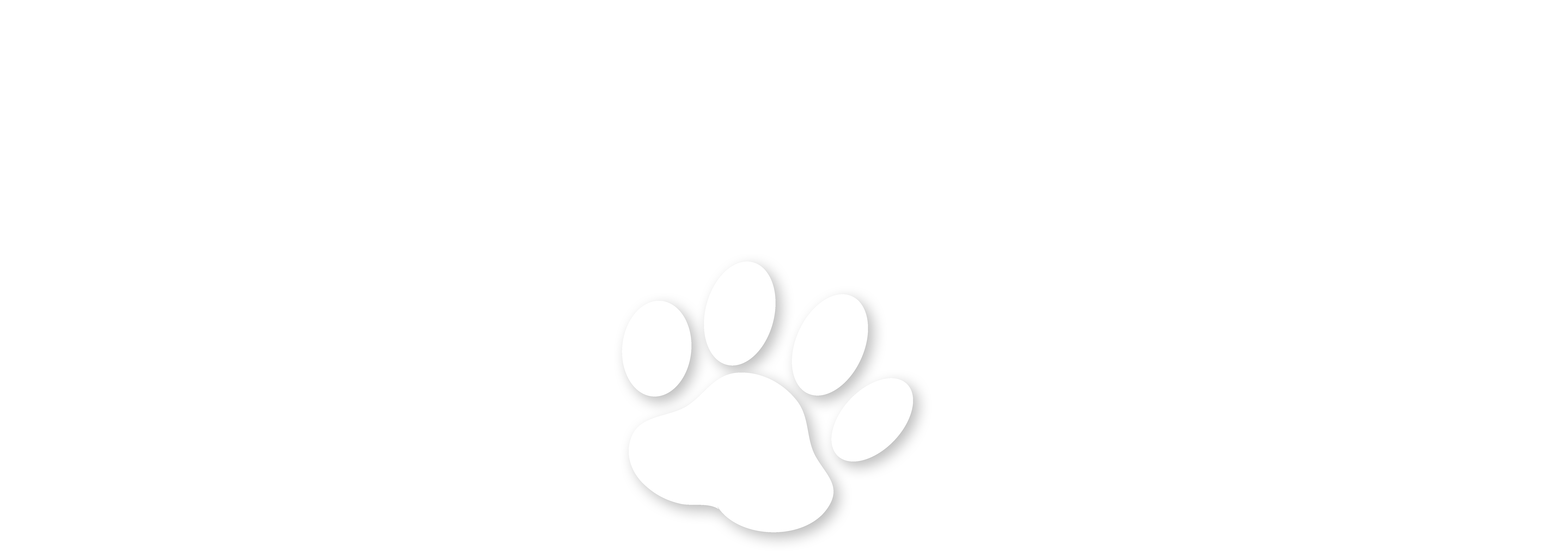 Logo Animals Choice